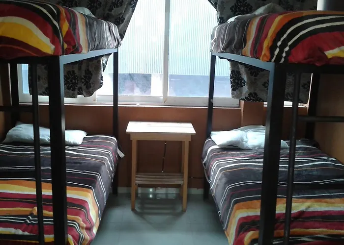 Hostel 399 Conejos Y Yo