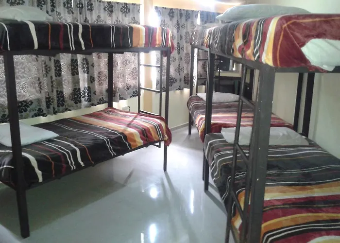 399 Conejos Y Yo Hostel