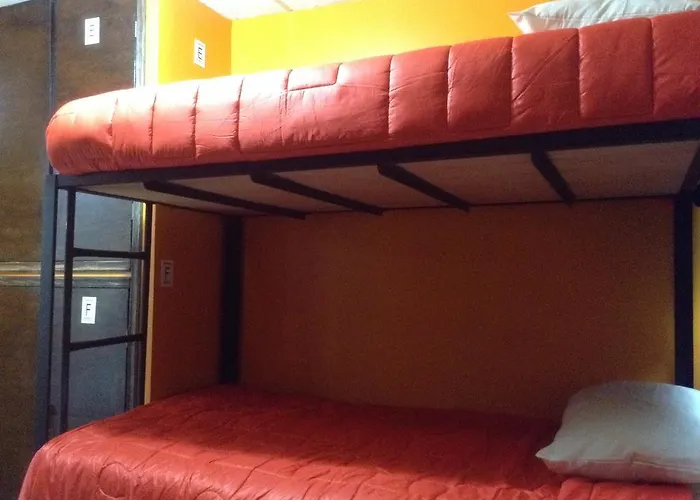 399 Conejos Y Yo *