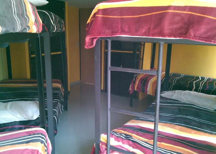 399 Conejos Y Yo