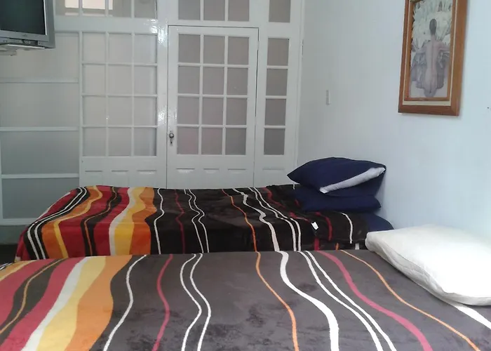 399 Conejos Y Yo