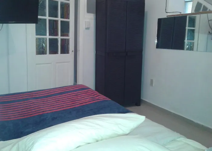 399 Conejos Y Yo Hostel