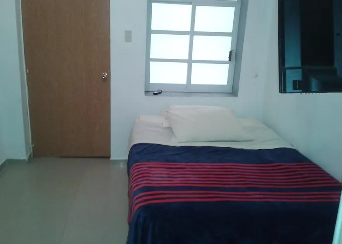 399 Conejos Y Yo