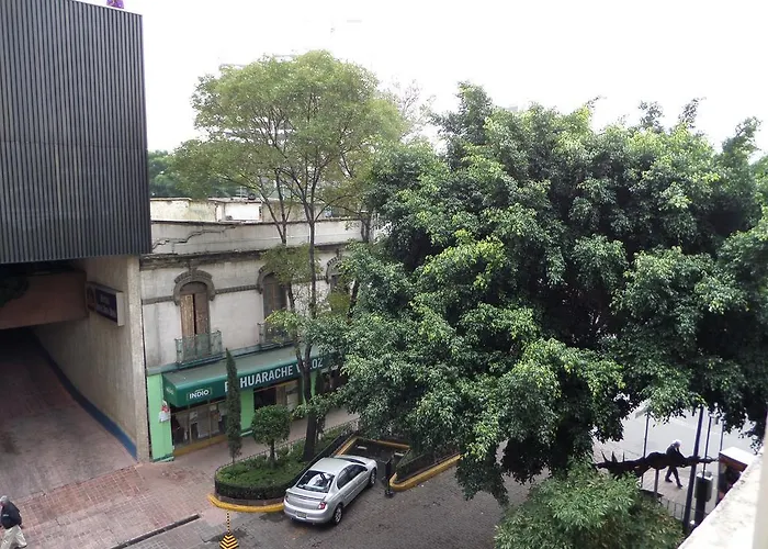399 Conejos Y Yo * Mexico City